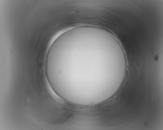 X0000114391195200910161025