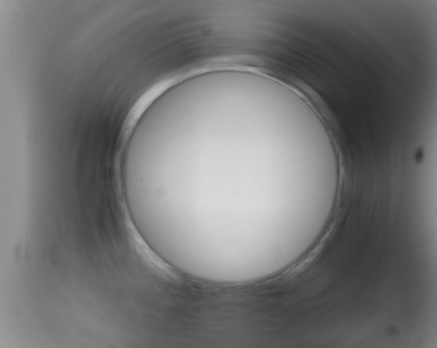 X0000114391196200910161025