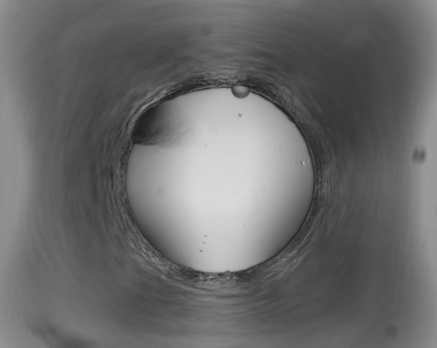 X0000114391201200910161024