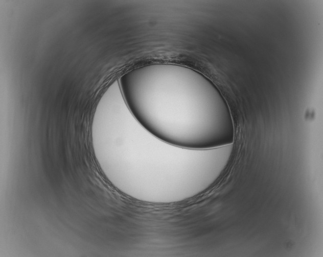 X0000114391202200910161024
