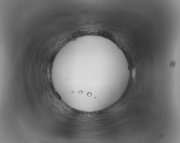 X0000114391203200910161024