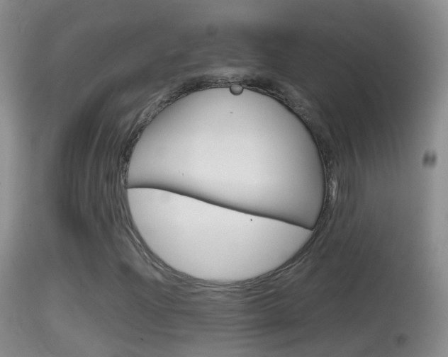 X0000114391204200910161024