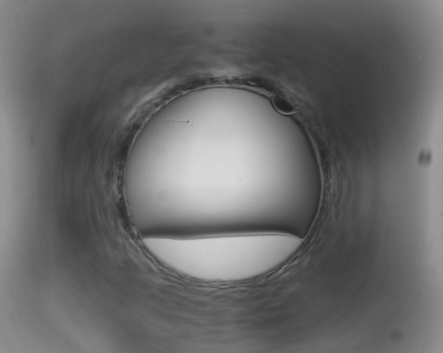 X0000114391205200910161024