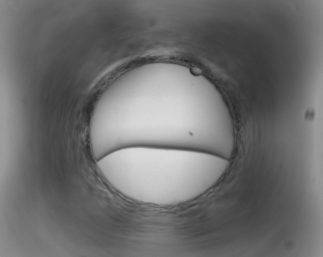 X0000114391206200910161024