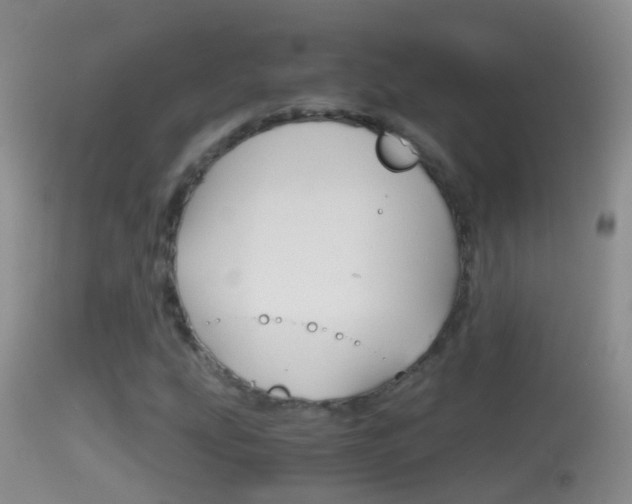 X0000114391207200910161024