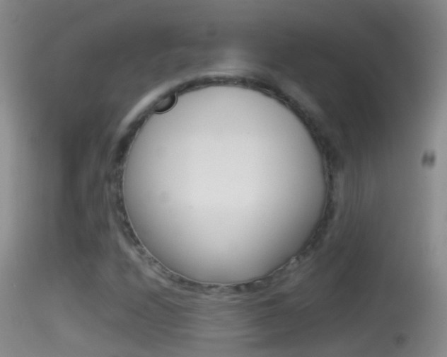 X0000114391208200910161024