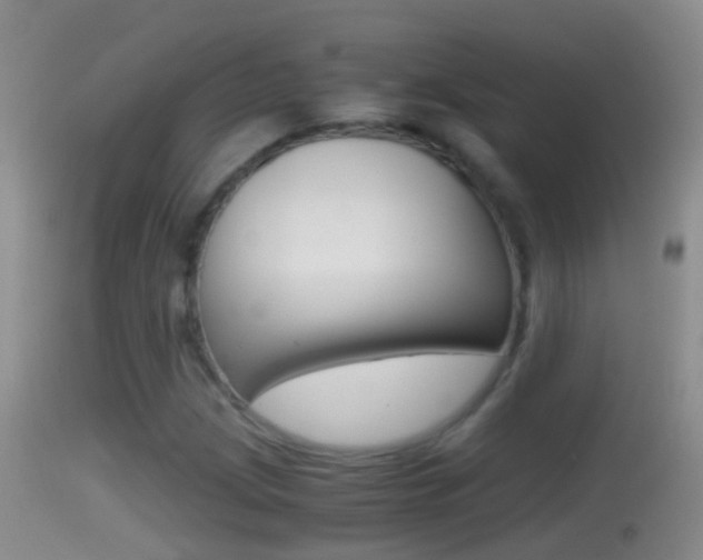 X0000114391209200910161024