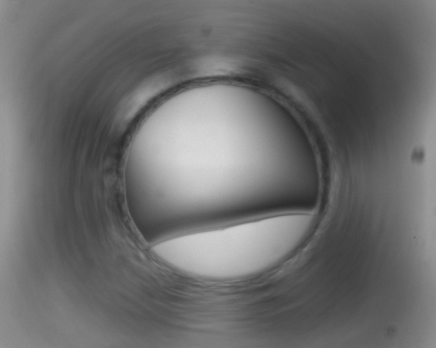X0000114391210200910161024