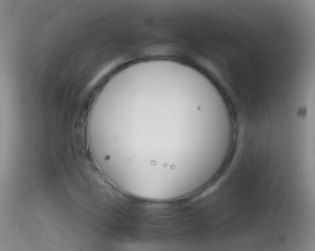 X0000114391211200910161024