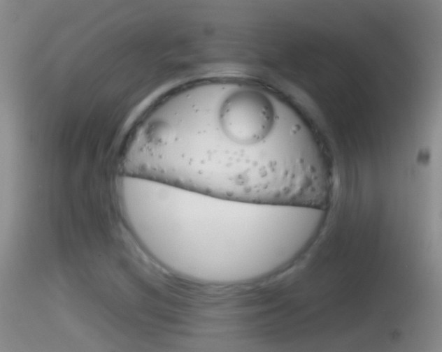 X0000114391212200910161024