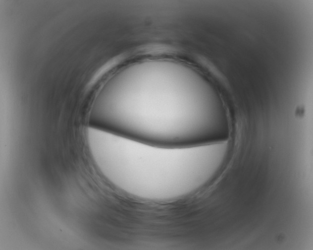 X0000114391213200910161024