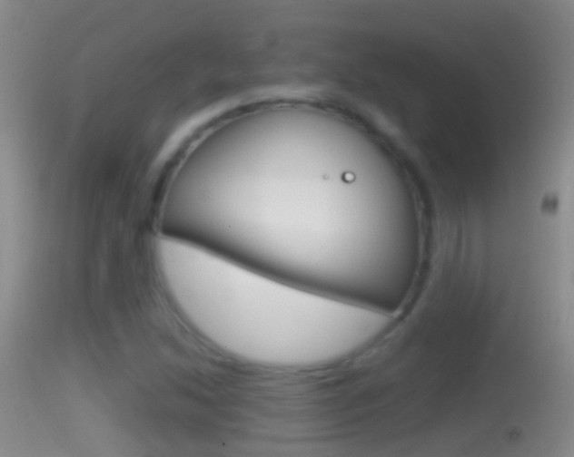 X0000114391214200910161024