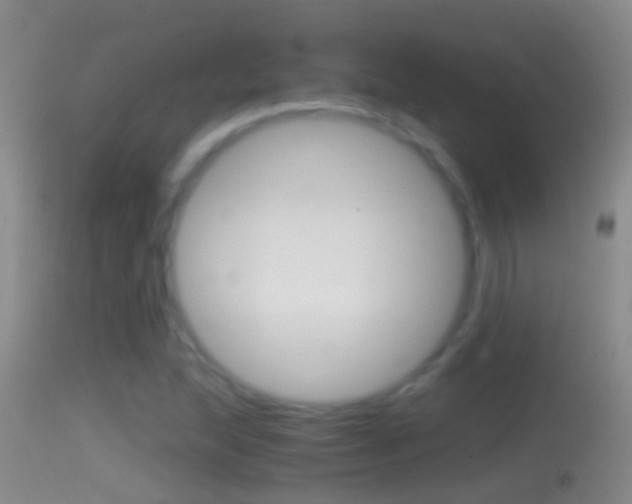 X0000114391215200910161024