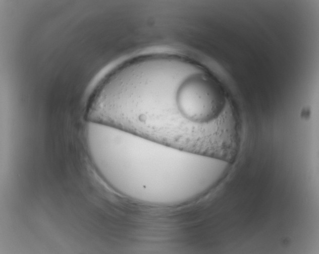X0000114391216200910161024