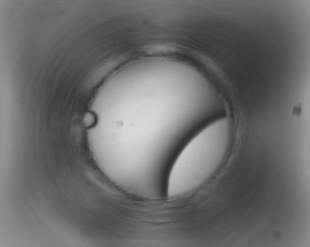 X0000114391217200910161025