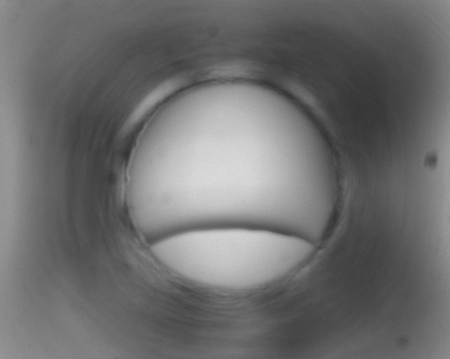 X0000114391219200910161025