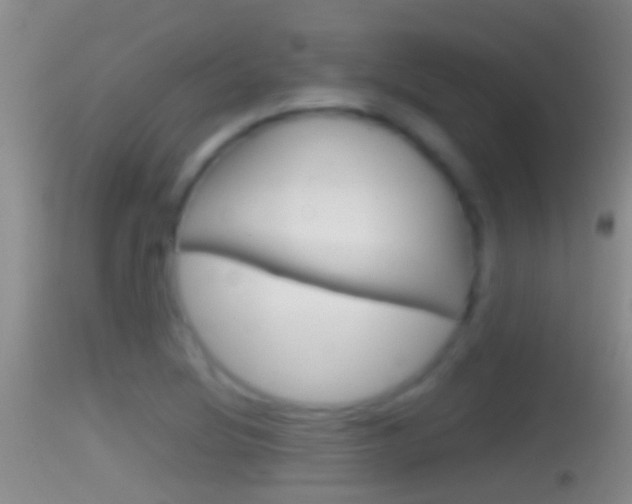 X0000114391220200910161025