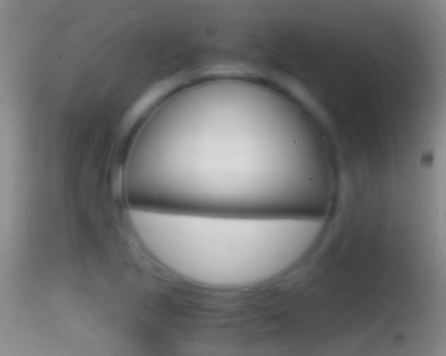 X0000114391221200910161025