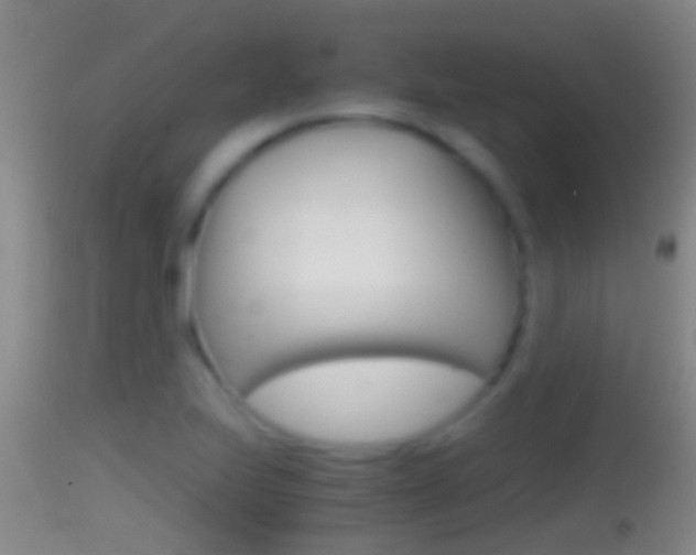 X0000114391223200910161025