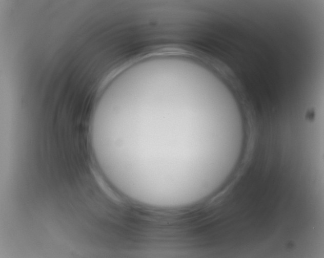 X0000114391225200910161025