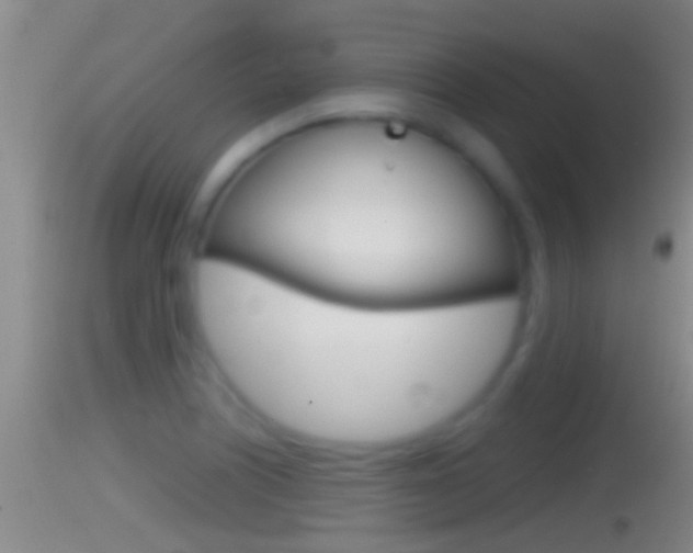 X0000114391226200910161025