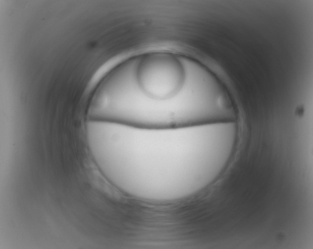 X0000114391230200910161025