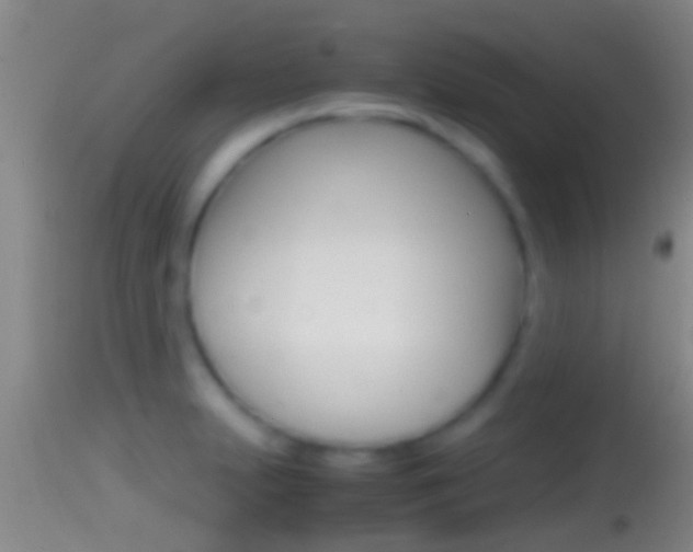 X0000114391231200910161025