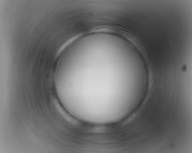 X0000114391233200910161025