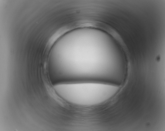 X0000114391234200910161025