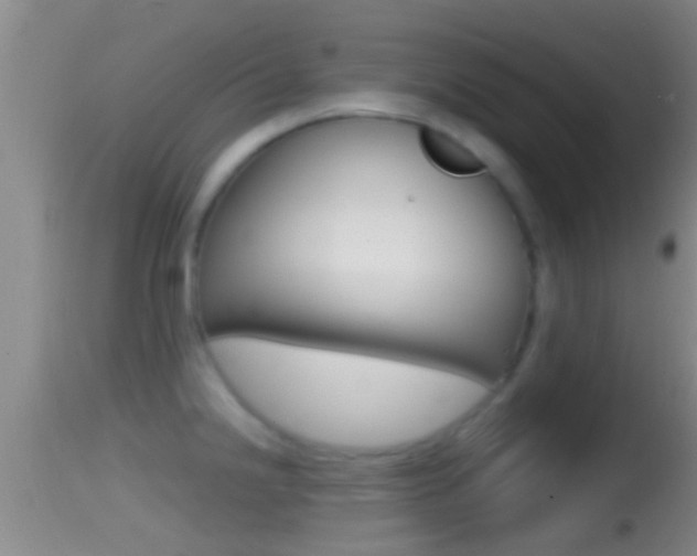 X0000114391238200910161025