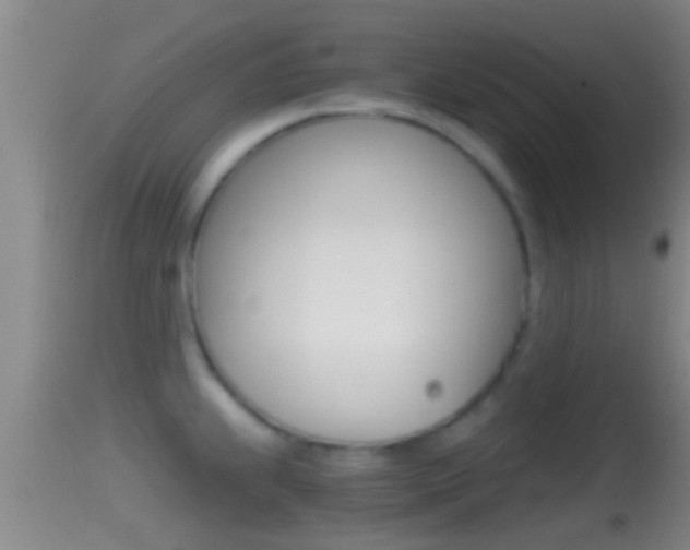 X0000114391239200910161025