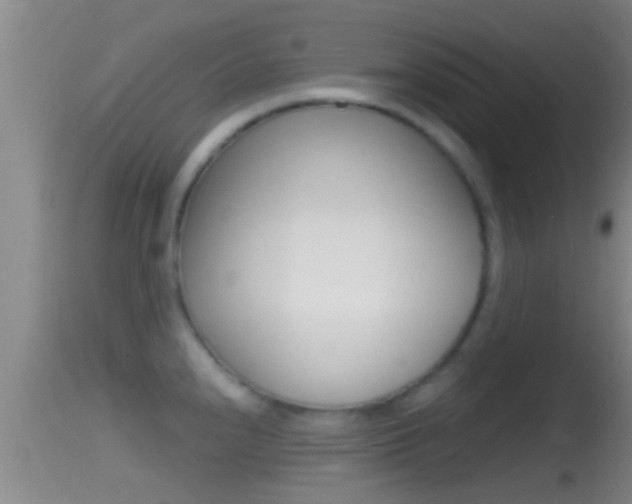 X0000114391240200910161025