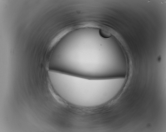 X0000114391241200910161025