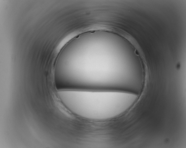 X0000114391242200910161025