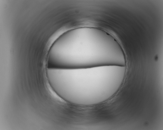 X0000114391243200910161025
