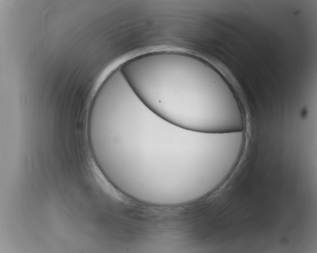 X0000114391246200910161025
