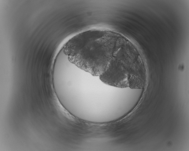 X0000114391248200910161025