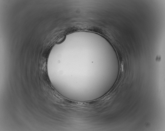 X0000114391251200910161024