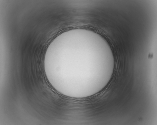 X0000114391252200910161024