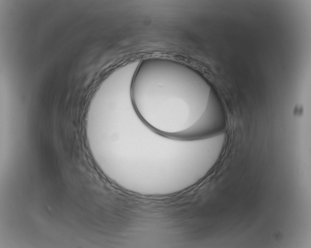 X0000114391253200910161024
