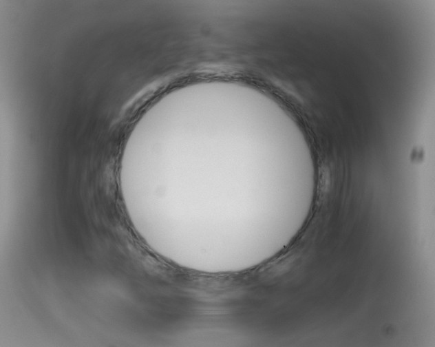 X0000114391254200910161024