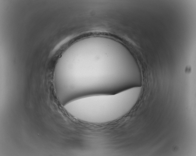 X0000114391255200910161024