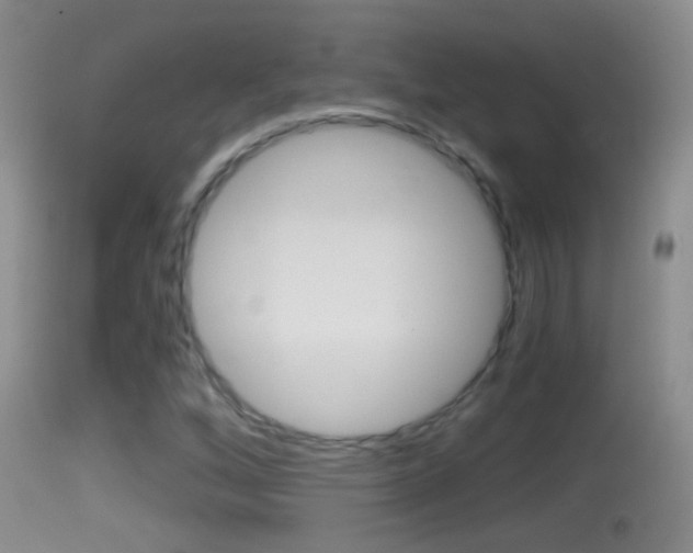 X0000114391256200910161024