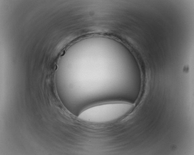 X0000114391257200910161024