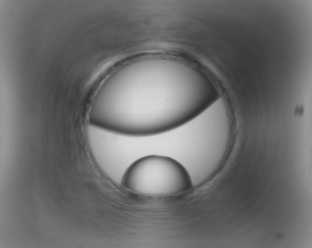 X0000114391259200910161024