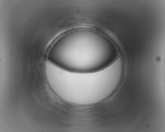 X0000114391260200910161024