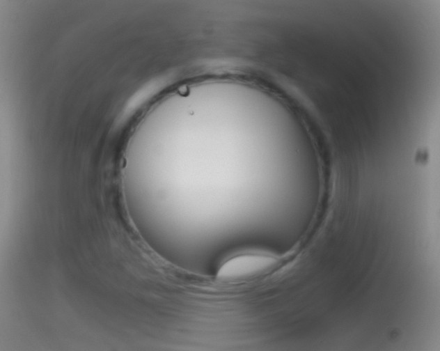 X0000114391261200910161024