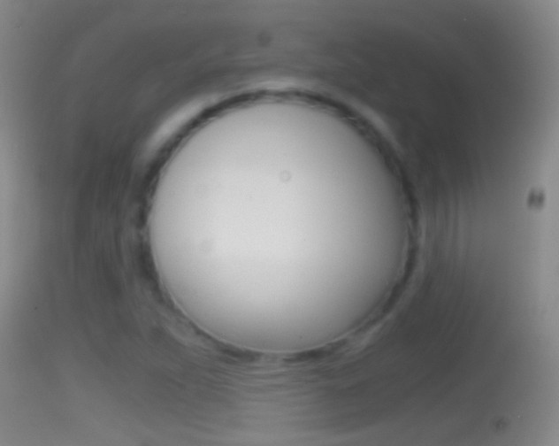 X0000114391263200910161024