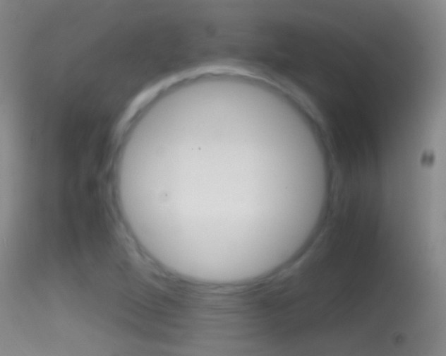 X0000114391264200910161024