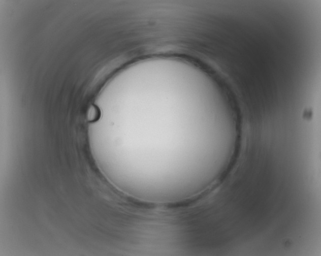 X0000114391265200910161024
